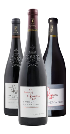 Coffret Saumur Champigny